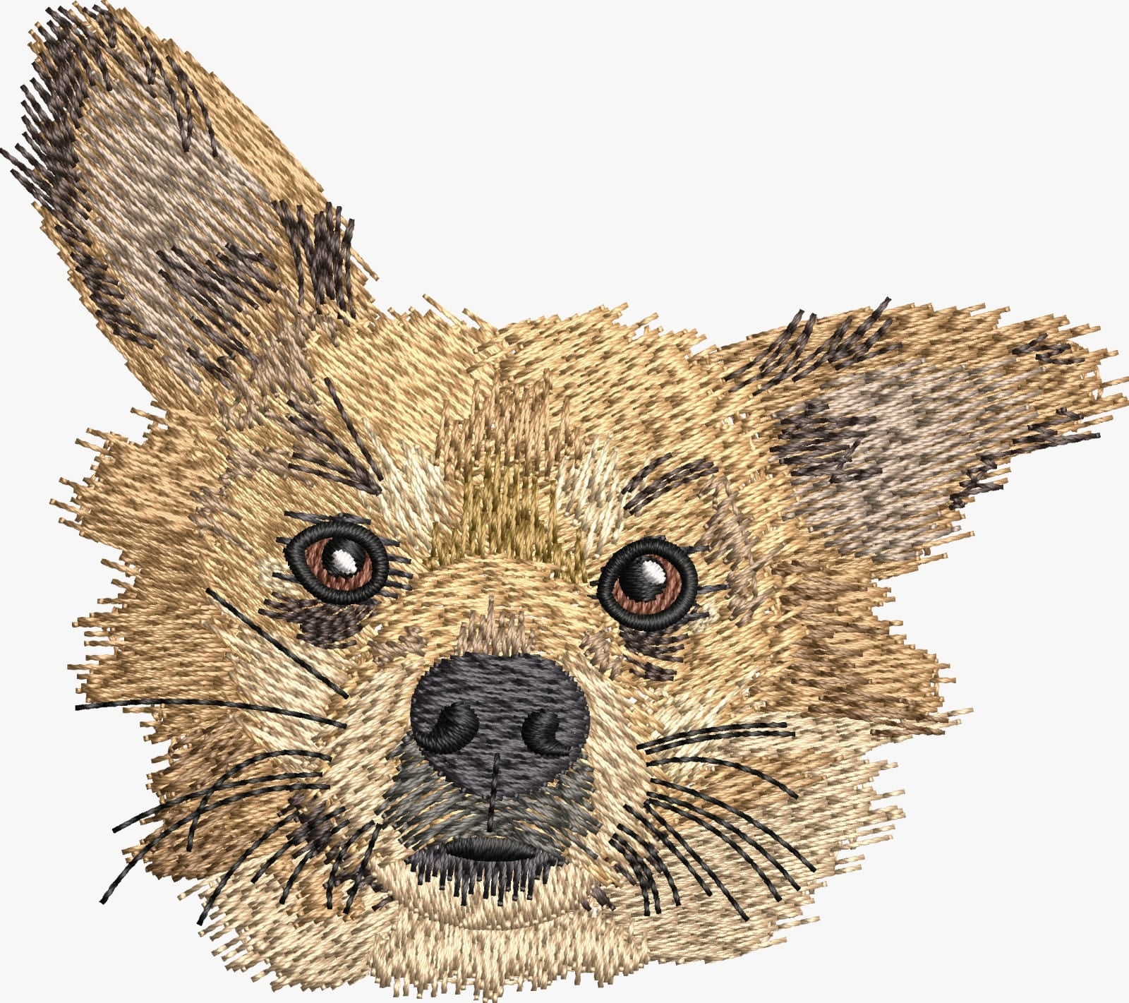 LIVE IMAGE EXPERT digitizing